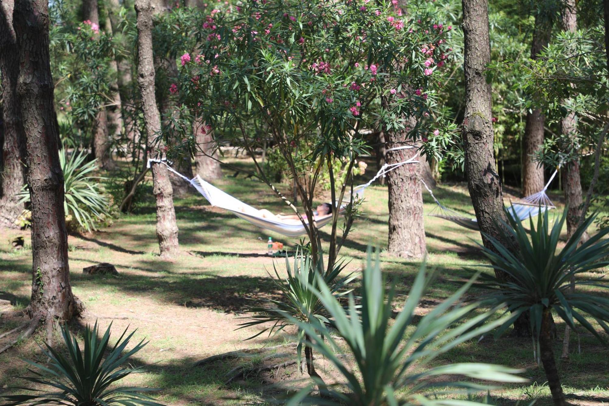 Andamati Beach Resort Grigoleti Eksteriør bilde